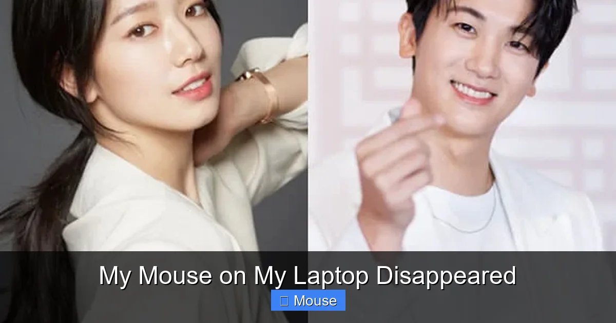My Mouse on My Laptop Disappeared