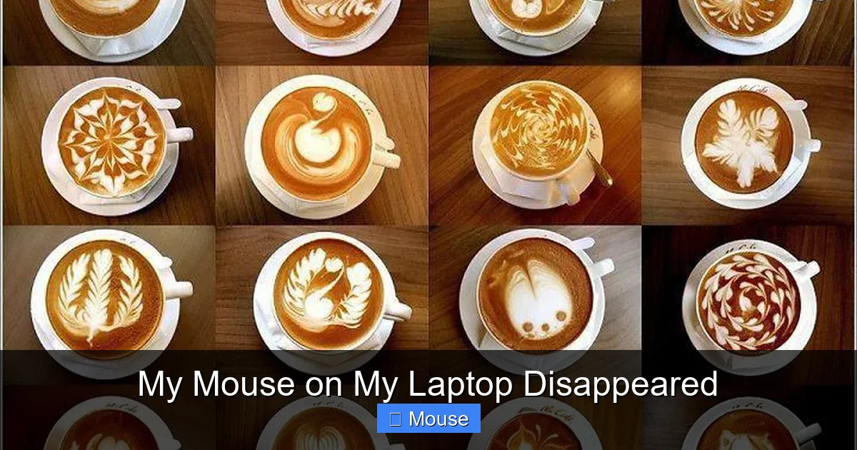 My Mouse on My Laptop Disappeared