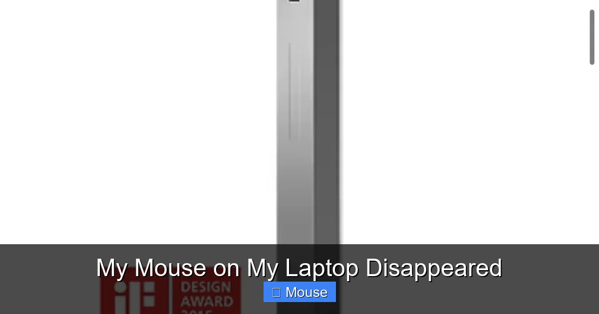 My Mouse on My Laptop Disappeared