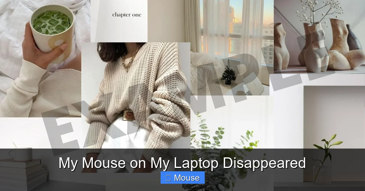 My Mouse on My Laptop Disappeared