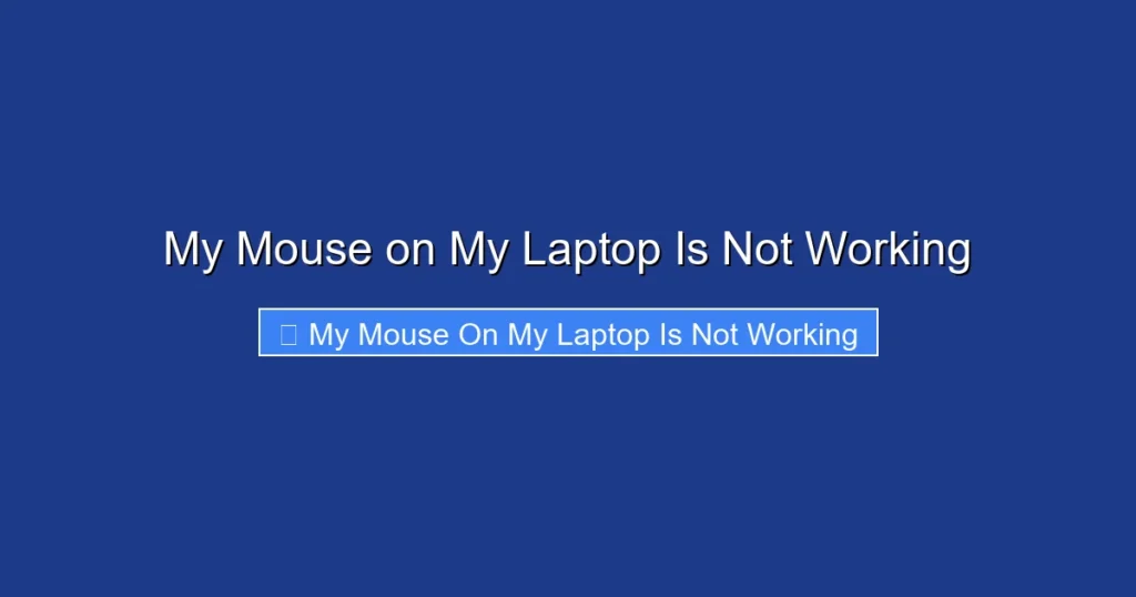 My Mouse on My Laptop Is Not Working
