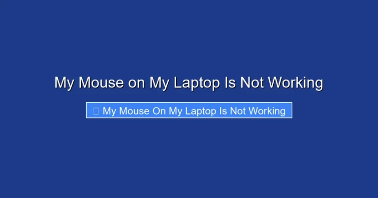 My Mouse on My Laptop Is Not Working