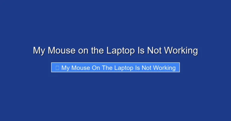 My Mouse on the Laptop Is Not Working