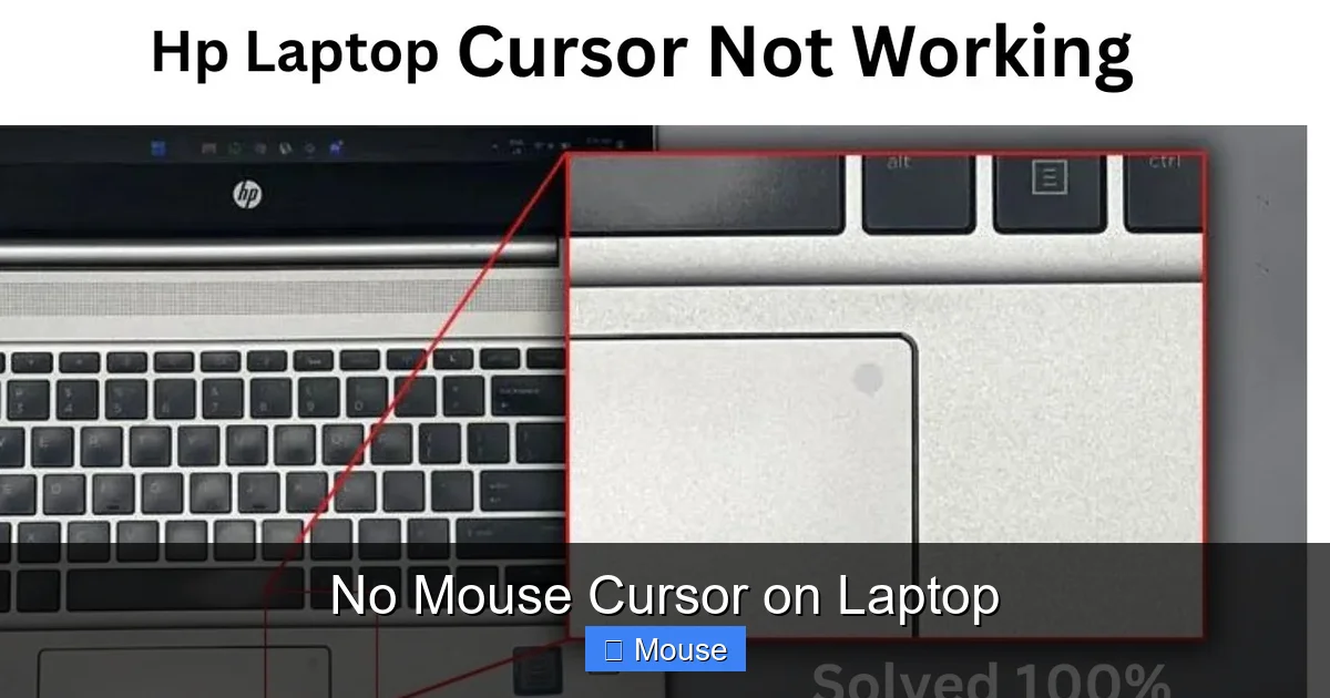 No Mouse Cursor on Laptop