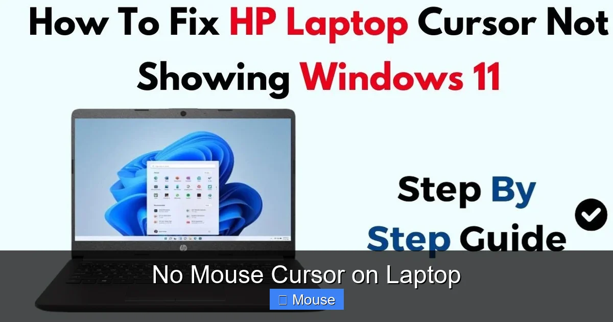No Mouse Cursor on Laptop