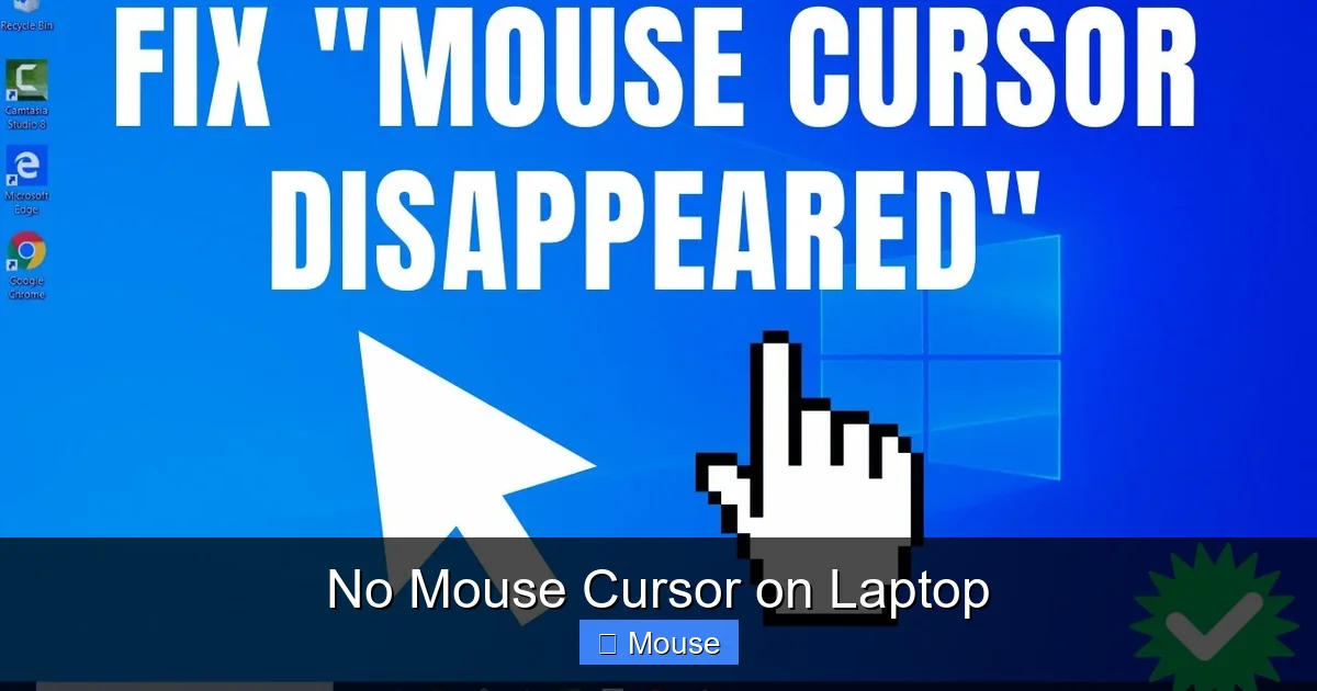 No Mouse Cursor on Laptop