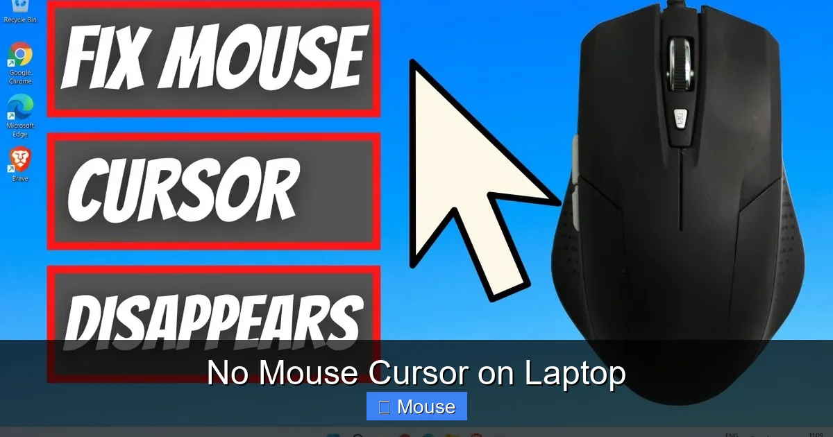 No Mouse Cursor on Laptop