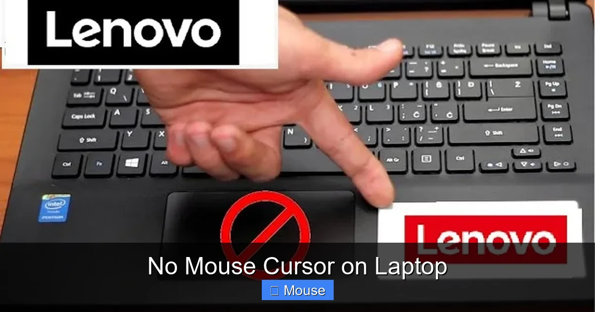 No Mouse Cursor on Laptop
