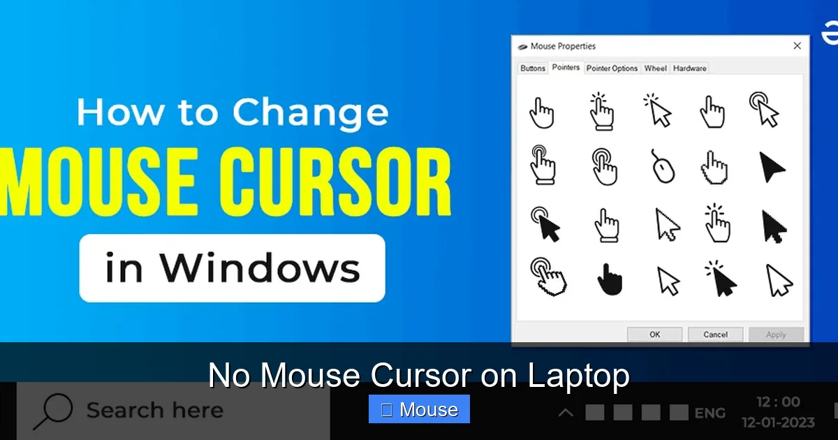 No Mouse Cursor on Laptop