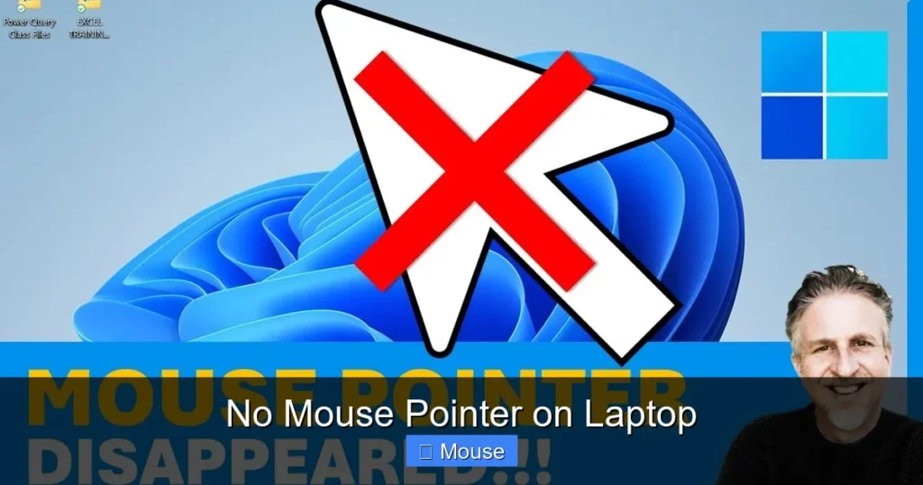 No Mouse Pointer on Laptop