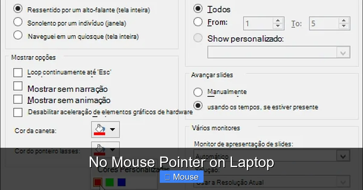 No Mouse Pointer on Laptop