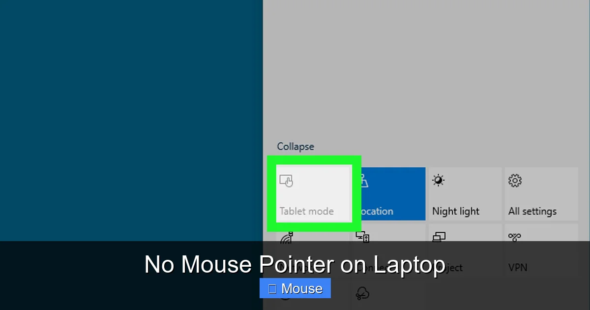 No Mouse Pointer on Laptop