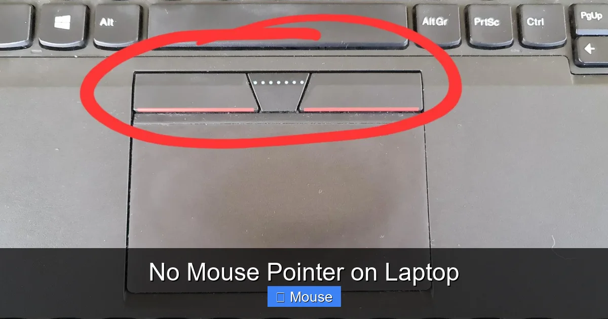 No Mouse Pointer on Laptop