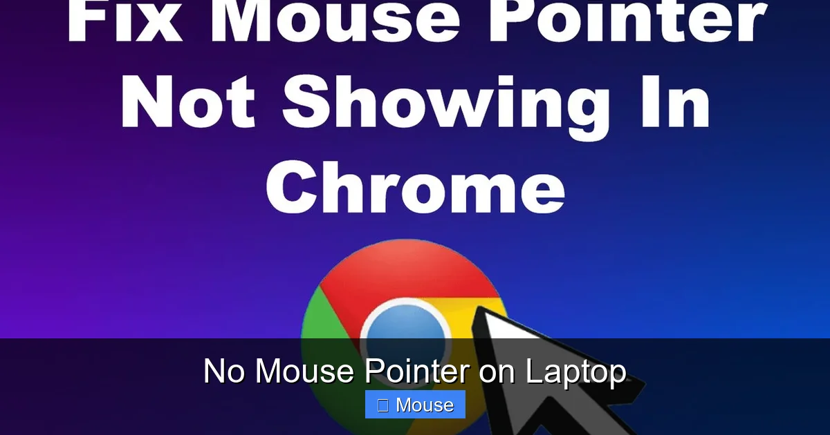No Mouse Pointer on Laptop