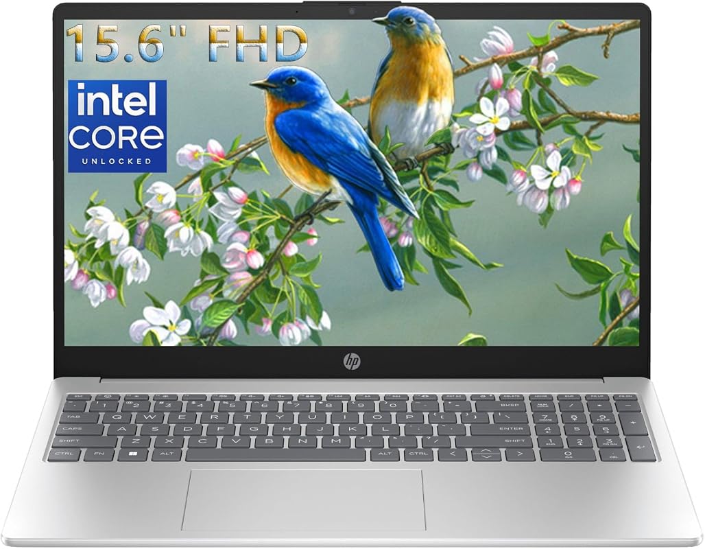 HP 15.6