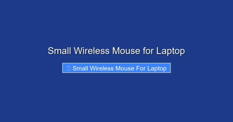 Small Wireless Mouse for Laptop