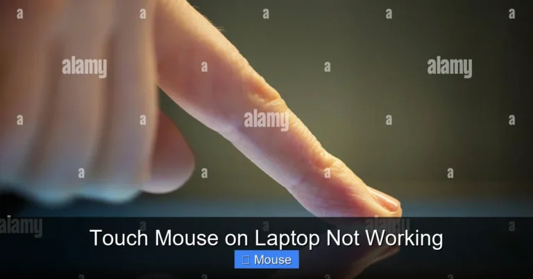 Touch Mouse on Laptop Not Working