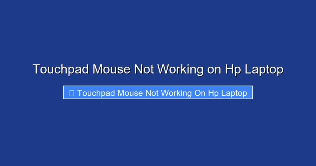 Touchpad Mouse Not Working on Hp Laptop