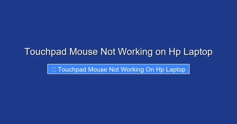 Touchpad Mouse Not Working on Hp Laptop