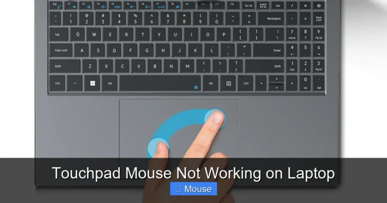 Touchpad Mouse Not Working on Laptop
