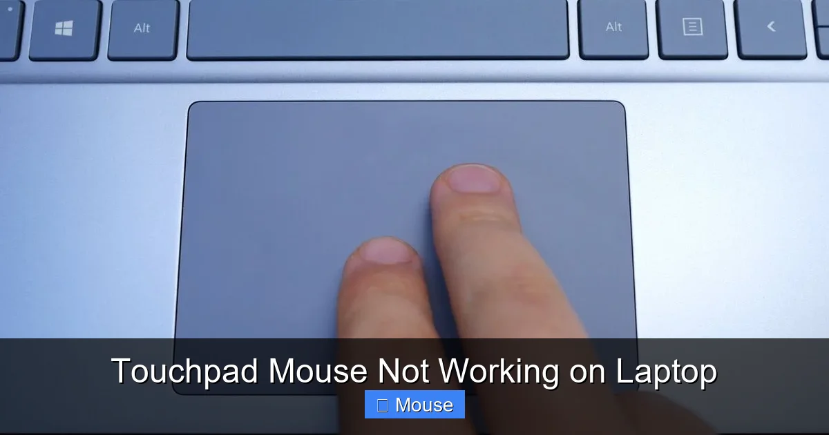 Touchpad Mouse Not Working on Laptop