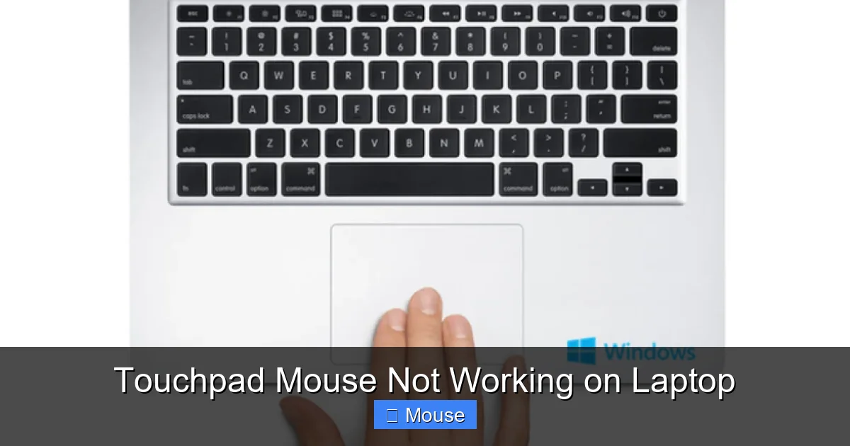 Touchpad Mouse Not Working on Laptop