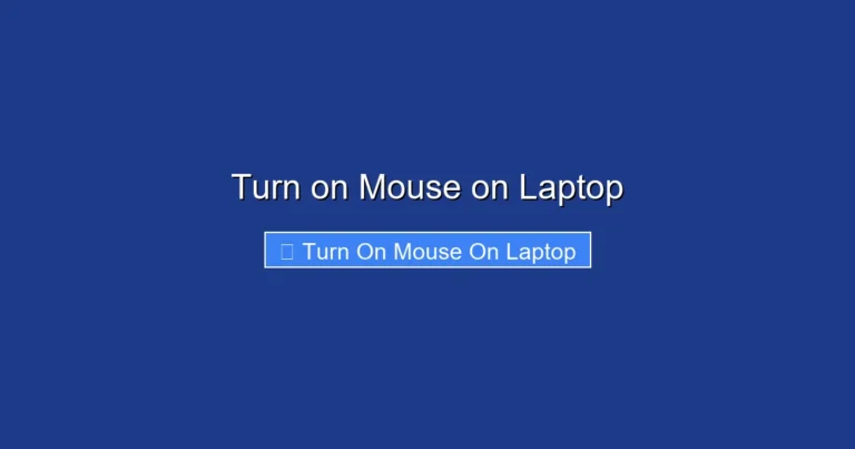 Turn on Mouse on Laptop