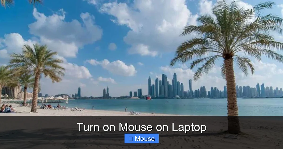 Turn on Mouse on Laptop