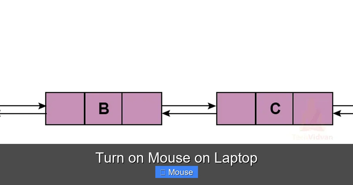 Turn on Mouse on Laptop