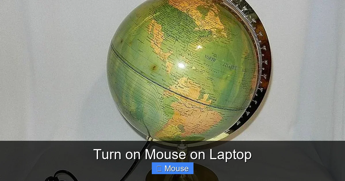 Turn on Mouse on Laptop