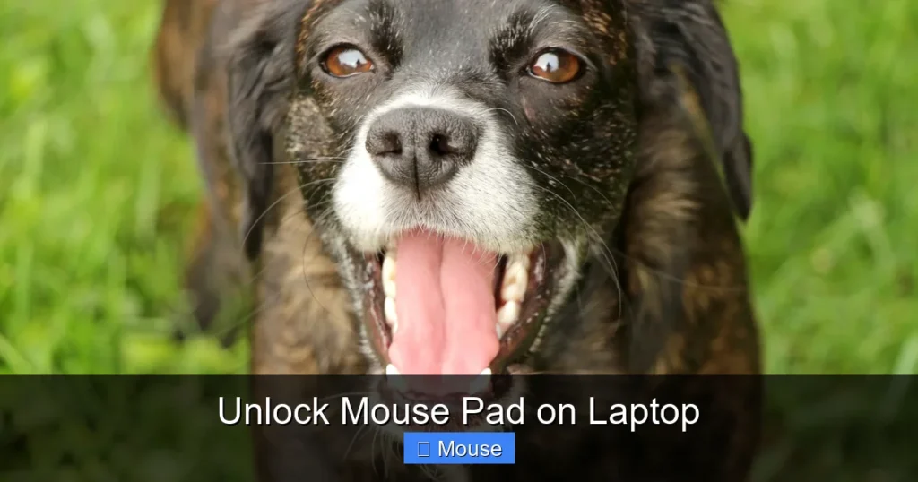 Unlock Mouse Pad on Laptop