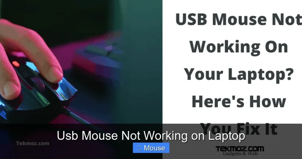 Usb Mouse Not Working on Laptop