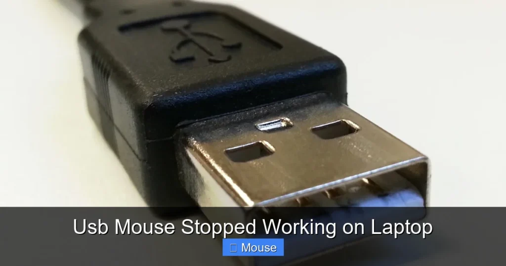 Usb Mouse Stopped Working on Laptop