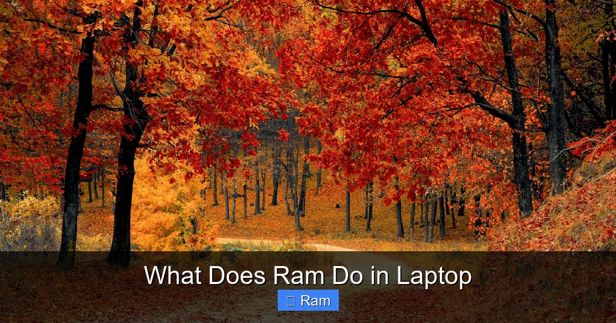 What Does Ram Do in Laptop