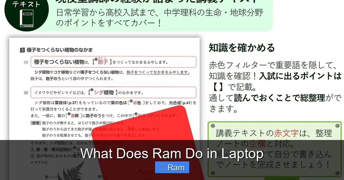 What Does Ram Do in Laptop