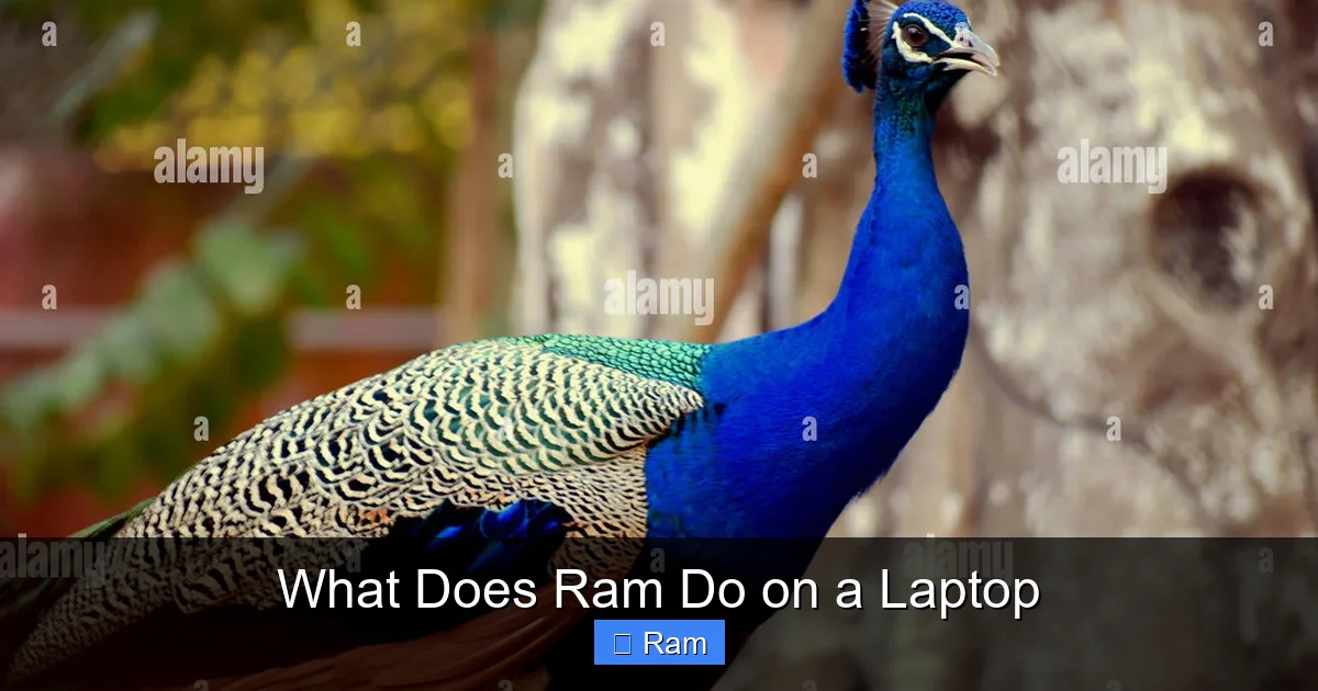 What Does Ram Do on a Laptop