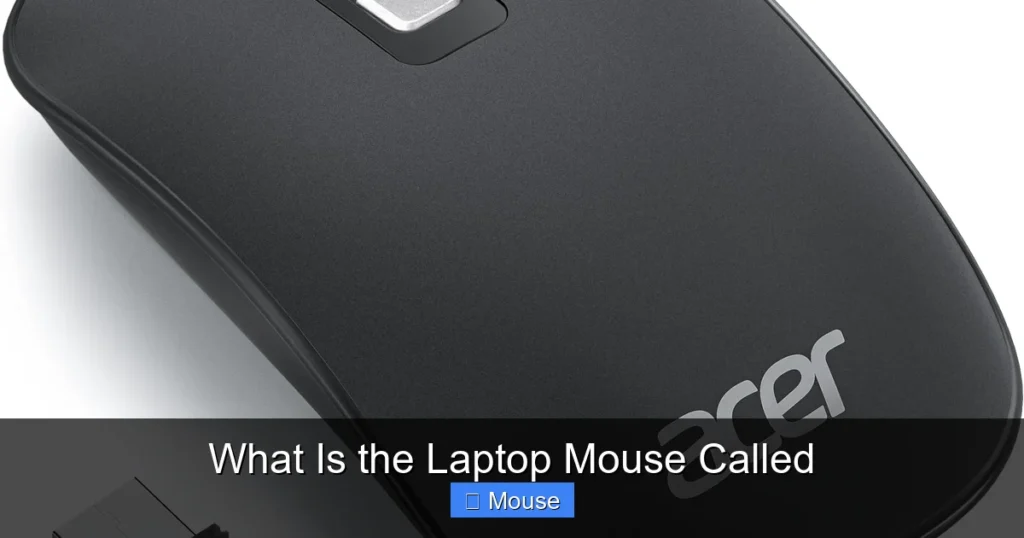 What Is the Laptop Mouse Called