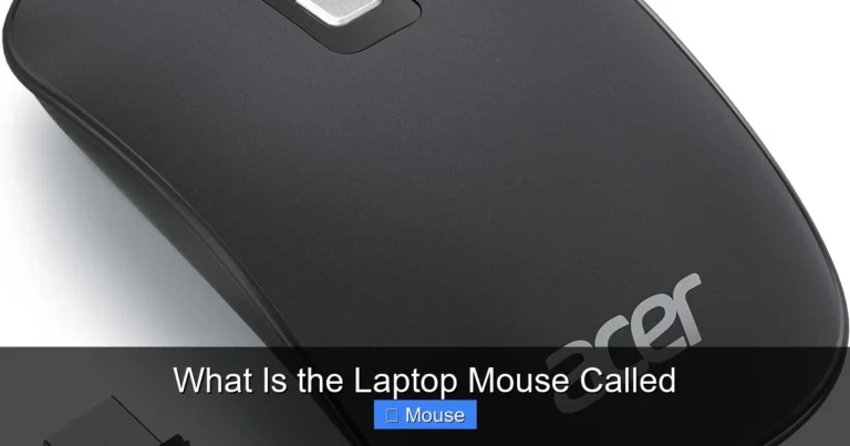 What Is the Laptop Mouse Called