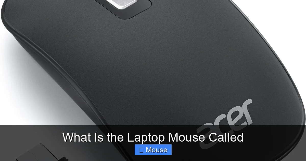 What Is the Laptop Mouse Called
