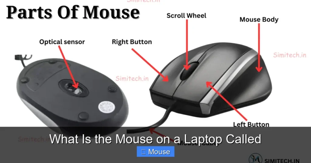 What Is the Mouse on a Laptop Called