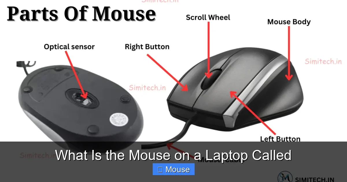What Is the Mouse on a Laptop Called