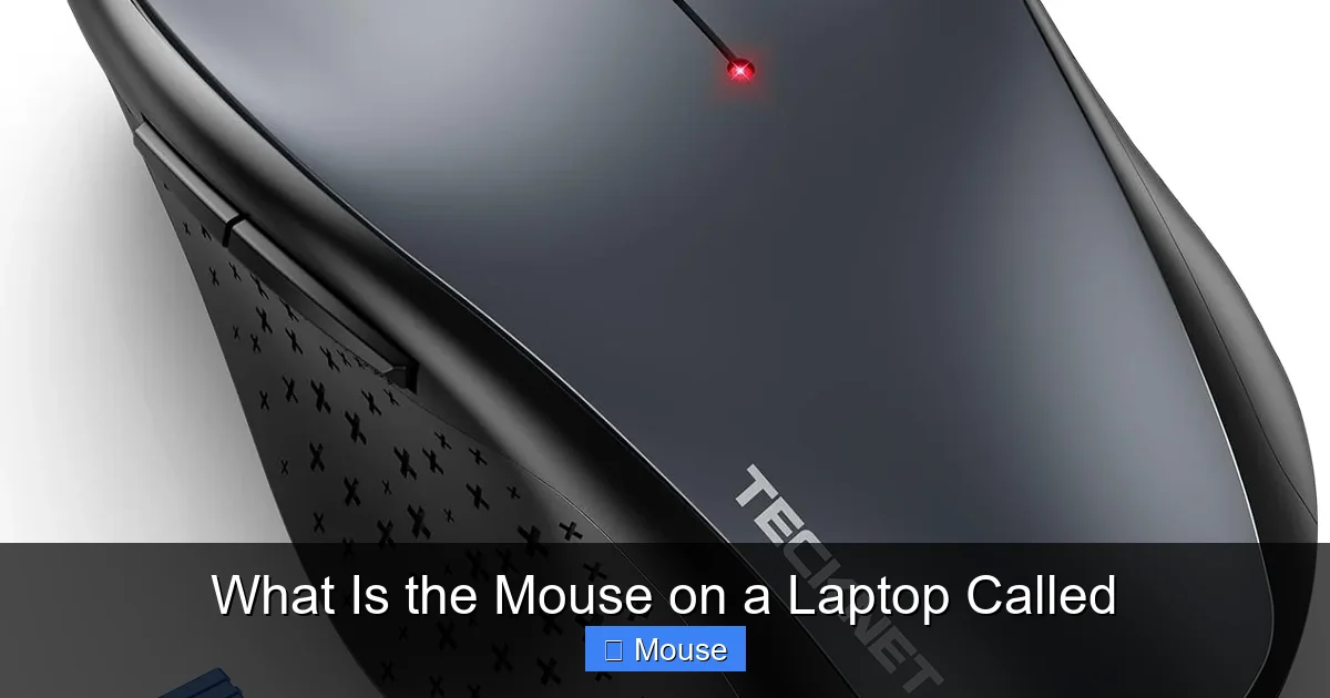 What Is the Mouse on a Laptop Called