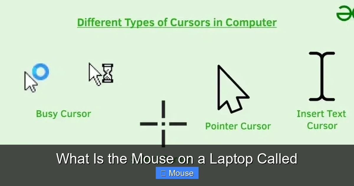 What Is the Mouse on a Laptop Called