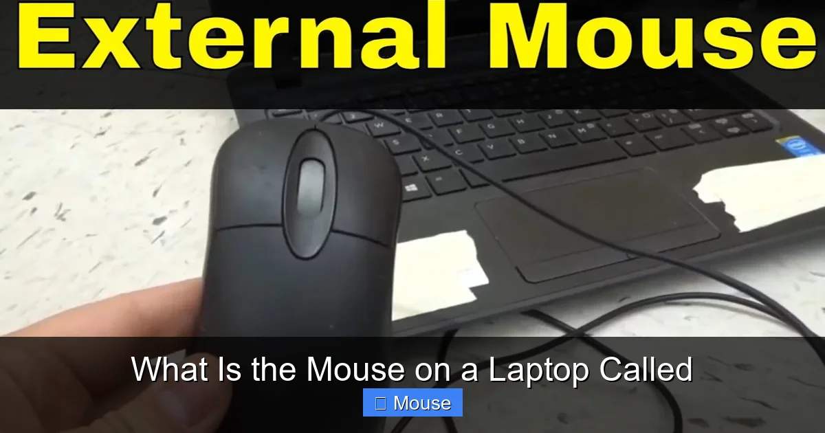 What Is the Mouse on a Laptop Called