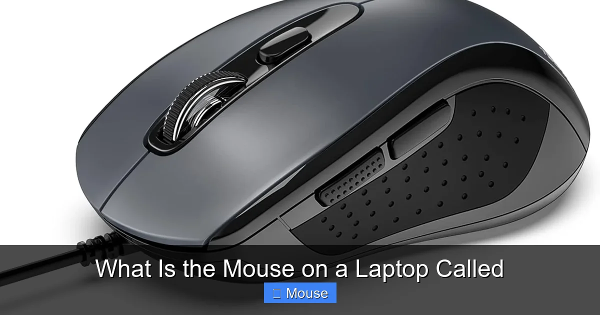 What Is the Mouse on a Laptop Called