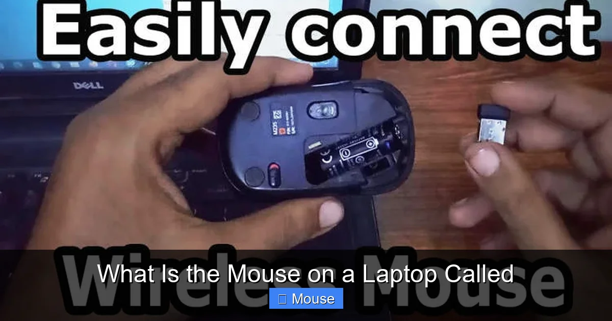 What Is the Mouse on a Laptop Called