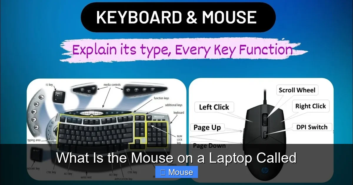 What Is the Mouse on a Laptop Called