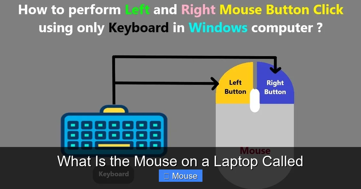 What Is the Mouse on a Laptop Called