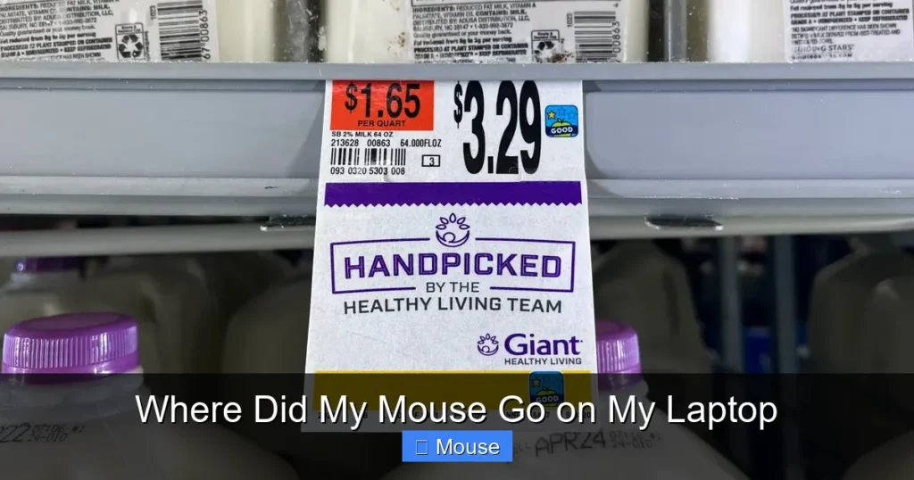 Where Did My Mouse Go on My Laptop