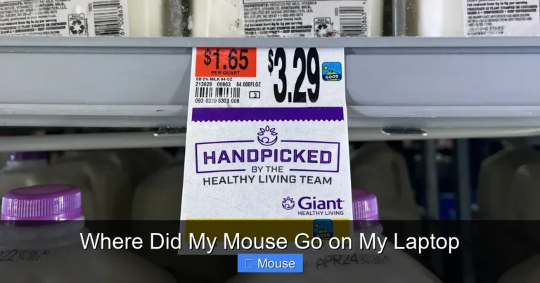 Where Did My Mouse Go on My Laptop